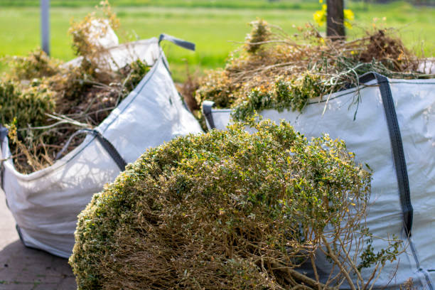 Best Carpet Removal and Disposal  in Bellair Meadowbrook Terrace, FL